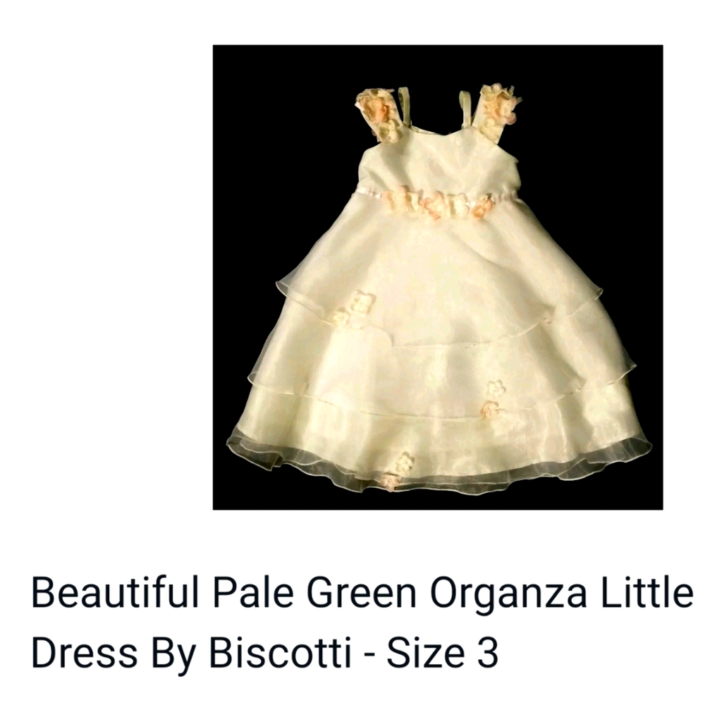 Pale green organza dress by Biscotti
